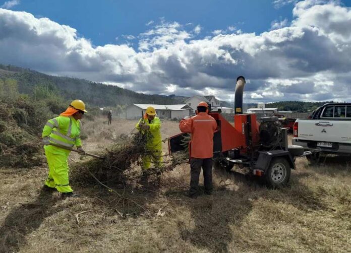 Programa de Emergencia de Empleo genera trabajo con enfoque ambiental en 142 comunas del país Programa de Emergencia de Empleo genera trabajo con enfoque ambiental en 142 comunas del país