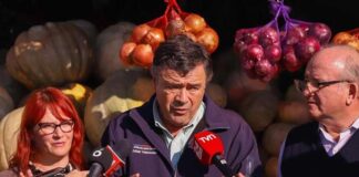 Ministro Valenzuela destaca baja de hasta un 50% en el precio de los cítricos durante estas semanas