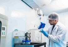 Startup chilena diseña vacuna contra gripe aviar con larvas de mosca negra startup chilena diseña vacuna contra gripe aviar con larvas de mosca negra