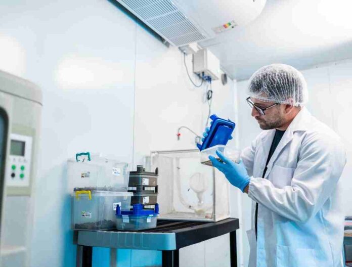 startup chilena diseña vacuna contra gripe aviar con larvas de mosca negra