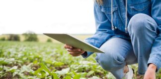 600 Pymes agrícolas se capacitarán en transformación digital