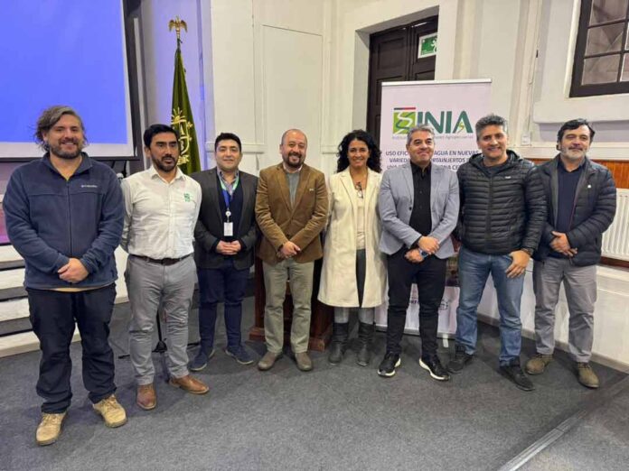 Comienza programa para optimizar el uso del agua en nuevas variedades de uva de mesa Comienza programa para optimizar el uso del agua en nuevas variedades de uva de mesa