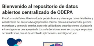 ¡Nuevo! Portal de Datos Abiertos de Odepa