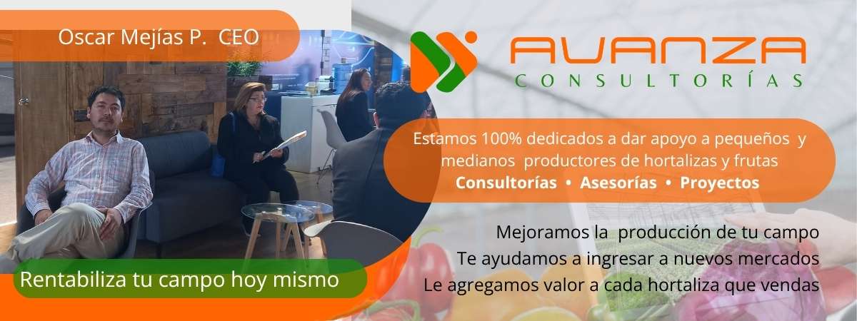 AVANZA CONSULTORIAS 2025