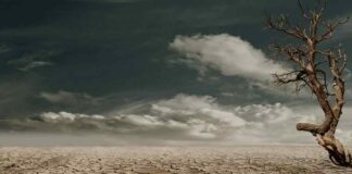 Académica UOH propone medidas urgentes para enfrentar la sequía en zonas críticas