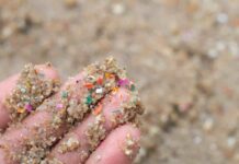 Académica de Geología advierte sobre presencia de microplásticos en suelos y su impacto en los ecosistemas terrestres Académica de Geología advierte sobre presencia de microplásticos en suelos y su impacto en los ecosistemas terrestres