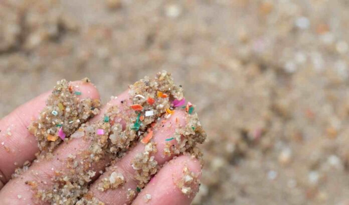 _Académica de Geología advierte sobre presencia de microplásticos en suelos y su impacto en los ecosistemas terrestres Académica de Geología advierte sobre presencia de microplásticos en suelos y su impacto en los ecosistemas terrestres