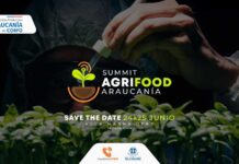 AgriFood Summit Araucanía: La Cumbre que Redefine el Futuro Sostenible del Agro desde la Salud del Suelo a la Mesa AgriFood Summit Araucanía: La Cumbre que Redefine el Futuro Sostenible del Agro desde la Salud del Suelo a la Mesa