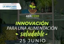 AgriFood Summit Araucanía 2025 – Enfocando la Salud del Suelo para la Salud Humana AgriFood Summit Araucanía 2025 – Enfocando la Salud del Suelo para la Salud Humana
