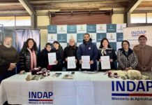 Agricultura y Municipalidad de Coyhaique firman convenio para implementar primera Tienda Mundo Rural de la región