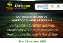 Agrifood Summit Araucanía: Expertos Globales Revelarán Claves para la Agricultura Regenerativa y el Futuro Digital del Agro Chileno