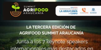 Agrifood Summit Araucanía: Expertos Globales Revelarán Claves para la Agricultura Regenerativa y el Futuro Digital del Agro Chileno
