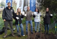 Alianza Reforestemos Juntos alcanza meta de plantar 60.000 árboles nativos