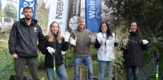 Alianza Reforestemos Juntos alcanza meta de plantar 60.000 árboles nativos