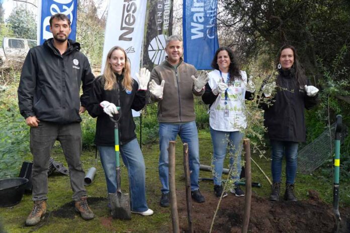 Alianza Reforestemos Juntos alcanza meta de plantar 60.000 árboles nativos
