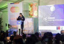 Anuncian fechas y novedades de Expo Chile Agrícola 2025 Anuncian fechas y novedades de Expo Chile Agrícola 2025