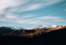 Arcadis reafirma su compromiso con la sostenibilidad y el logro del objetivo Net Zero en el mes del Medio Ambiente