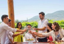 Arma tu propio vino: el panorama que encanta a turistas nacionales y extranjeros en el Valle de Colchagua