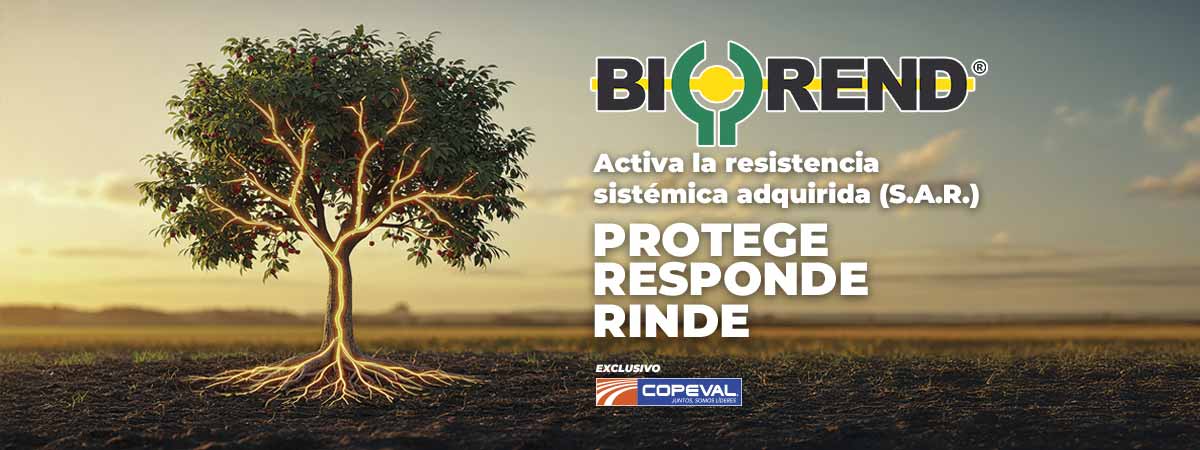 Biorend Bioagro Fitorregulador