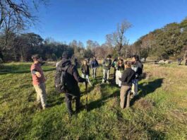 CONAF donó plantas a Universidad Austral para proyecto de bosque comestible
