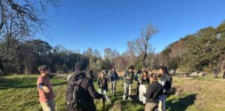 CONAF donó plantas a Universidad Austral para proyecto de bosque comestible