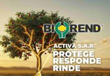 Alianza Técnica-Comercial entre COPEVAL Y BIOAGRO Alianza Técnica-Comercial entre COPEVAL Y BIOAGRO