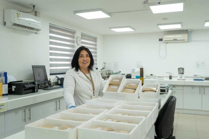 COTRISA impulsa la mejora continua en la industria arrocera con su V Circuito de Calidad