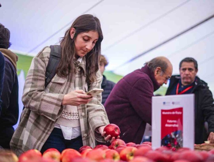 Chile fortalece liderazgo frutícola manzana chilena se consolida en Brasil, Colombia y Ecuador Chile fortalece liderazgo frutícola: manzana chilena se consolida en Brasil, Colombia y Ecuador