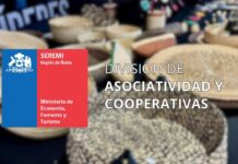 Cooperativismo: El motor sostenible que impulsa la economía de Ñuble y combate la desigualdad