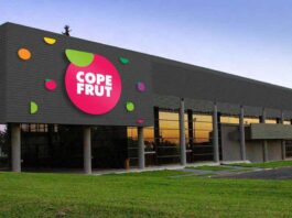 Copefrut celebra 70 años con foco en sostenibilidad