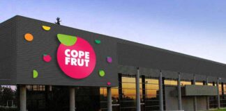 Copefrut celebra 70 años con foco en sostenibilidad