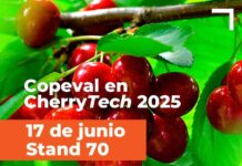 Copeval en CherryTech 2025