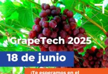 Copeval en GrapeTech 2025