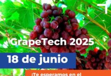 Copeval participará en eventos CherryTech y GrapeTech Copeval participará en eventos CherryTech y GrapeTech