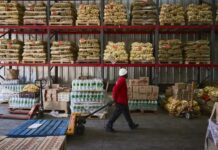 Desperdicio de alimentos es responsable del 10% de las emisiones de gases de efecto invernadero