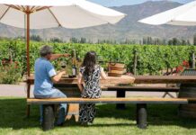 El boom del fenómeno del enoturismo en Chile ya tiene cifras récord