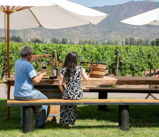 El boom del fenómeno del enoturismo en Chile ya tiene cifras récord El boom del fenómeno del enoturismo en Chile ya tiene cifras récord