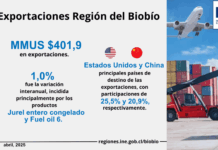 Exportaciones de la Región del Biobío aumentaron 1,0% interanualmente Exportaciones de la Región del Biobío aumentaron 1,0% interanualmente