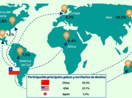 Exportaciones regionales de Ñuble alcanzaron los USD 503 millones durante el primer trimestre del 2025