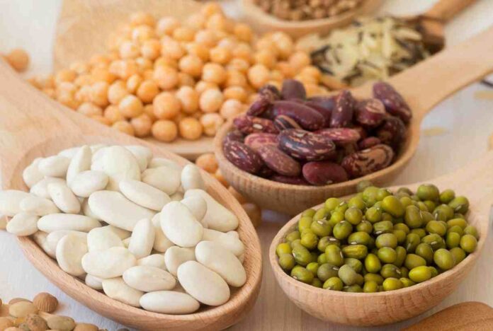 GISER impulsa campaña para aumentar el consumo de legumbres