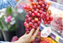 Grapetech 2025: Un espacio estratégico para proyectar el futuro de la industria de la uva Grapetech 2025: Un espacio estratégico para proyectar el futuro de la industria de la uva