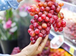 Grapetech 2025:  Un espacio estratégico para proyectar el futuro de la industria de la uva