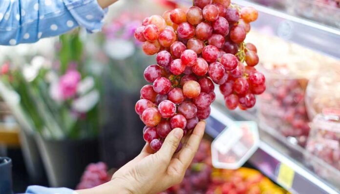 Grapetech 2025:  Un espacio estratégico para proyectar el futuro de la industria de la uva