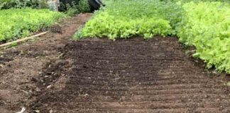 HiperPatagónico y Corfo impulsanprograma para fortalecer a productores locales y mejorar la cadena alimentariaen Aysén