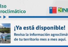 INIA lanza “Pulso Agroclimático”: nuevo boletín de monitoreo de la realidad agrícola y climática nacional