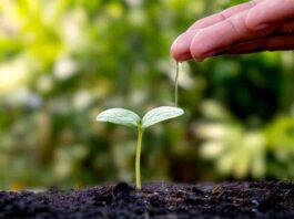 Inicia Transforma Gestión Hídrica, el programa CORFO que busca cambiar el escenario hídrico de la Región de Valparaíso Inicia Transforma Gestión Hídrica, el programa CORFO que busca cambiar el escenario hídrico de la Región de Valparaíso