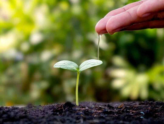 _ Inicia Transforma Gestión Hídrica, el programa CORFO que busca cambiar el escenario hídrico de la Región de Valparaíso Inicia Transforma Gestión Hídrica, el programa CORFO que busca cambiar el escenario hídrico de la Región de Valparaíso