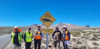 Instalan señalética para proteger a la fauna nativa de Arica y Parinacota