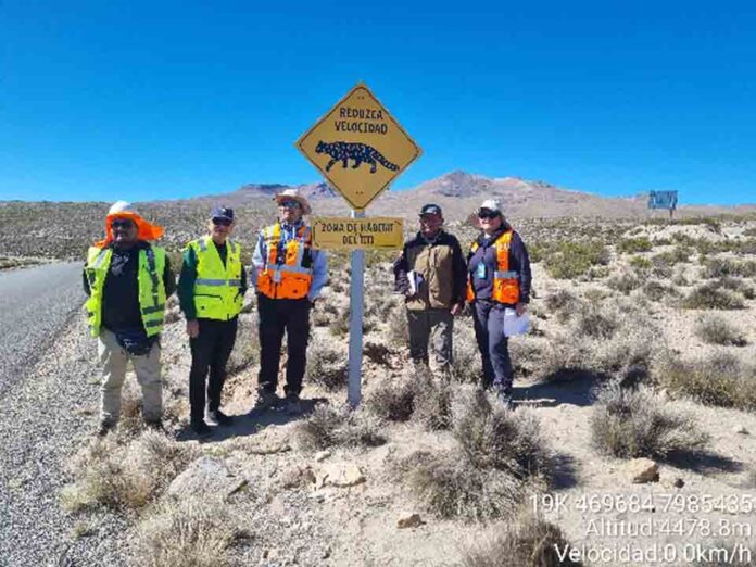 Instalan señalética para proteger a la fauna nativa de Arica y Parinacota