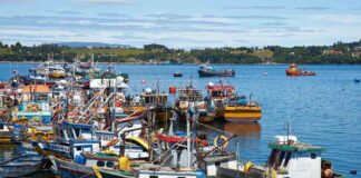 Ley de Fraccionamiento Pesquero: Un hito para la pesca artesanal de Chile